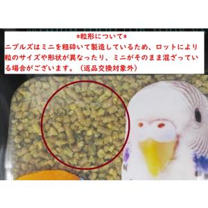 ラウディブッシュ/ROUDYBUSH デイリー...の詳細画像2