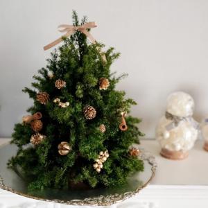ナチュラルクリスマステーブルツリー ギフトにお祝い 送料無料 クリスマスリース プリザーブドフラワー
