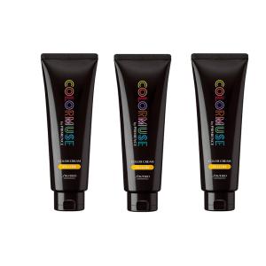 資生堂　カラーミューズ5色セット　新品、未使用品 SHISEIDO PROFESSIONAL（資生堂プロフェッショナル） 資生堂 カラー