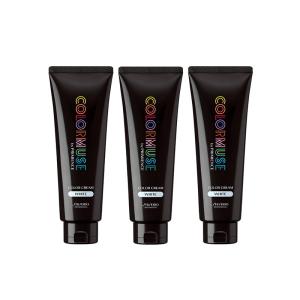 SHISEIDO PROFESSIONAL（資生堂プロフェッショナル） 送料無料｜資生堂