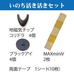 株式会社ユニカ 丸山修寛先生開発電磁波対策製品 アーシス : PECHKA