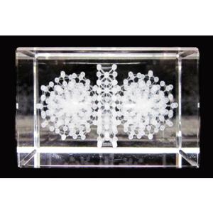 株式会社ユニカ 丸山修寛先生開発 模型バッキーボール(組立式)+パドマ