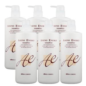 イリヤ アミノエナジー コンディショナー 1000ml×6点セット : PECHKA