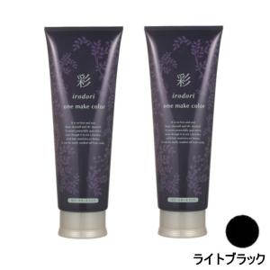 イリヤ 彩 ONEメイクカラー ライトブラック 250g×6点セット : PECHKA