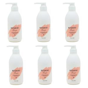 &NINE（アンド・ナイン） ケシキ シャンプー(480ml) トリートメント
