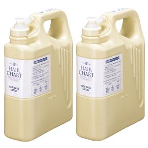 東粧ケミカル T&O スタイリングトリートメント ハード 1000ml : PECHKA