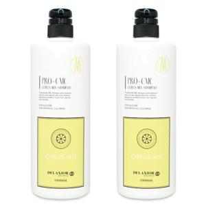 千代田化学 デラクシオ プロCMC ベリーミックスシャンプー 3000ml