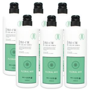 千代田化学 デラクシオ プロCMC ベリーミックスシャンプー 3000ml