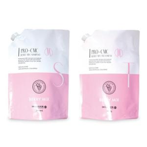 ロレアル プロフェッショナル セリエ エクスパート アブソルート R