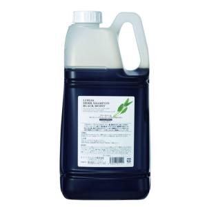 テクノエイト ロハスハーブエッセンス 300ml + ボトルセット6個セット