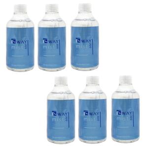 ニューウェイジャパン パイウェイ ミスト ナース 5000ml 業務用×2個