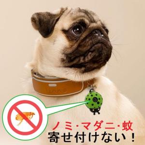 犬 猫 超音波 虫よけ 蚊 ノミ ダニ対策にの詳細画像3