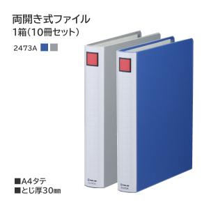 キングファイル （10冊セット）キングジム スーパードッチ 脱・着