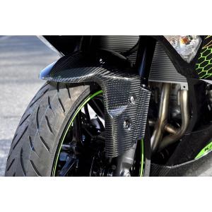 マジカルレーシング フロントフェンダー FRP黒 Ninja ZX-25R 20