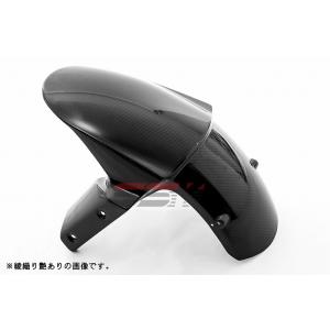 エスエスケイ スピードラ フロントフェンダー ドライカーボン 綾織艶あり NINJA1000 14-...