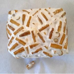 しいたけ 駒菌 ビッグマッシュ 500個 種菌...の詳細画像3