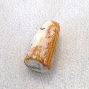 しいたけ 駒菌 ビッグマッシュ 500個 種菌...の詳細画像4