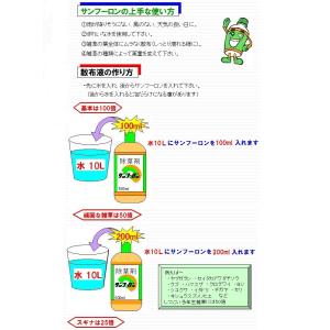 サンフーロン液剤 5L 大成農材 農耕地登録除草剤の詳細画像2