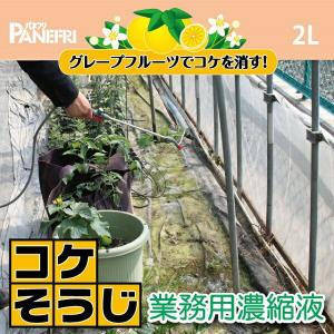 コケそうじ 濃縮液 500ml 20倍希釈 コ...の詳細画像1