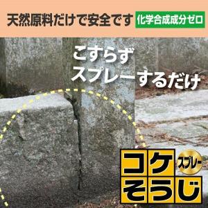 コケそうじ 濃縮液 500ml 20倍希釈 コ...の詳細画像2