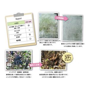 コケそうじ 濃縮液 500ml 20倍希釈 コ...の詳細画像4