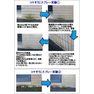 コケそうじ 濃縮液 500ml 20倍希釈 コ...の詳細画像5