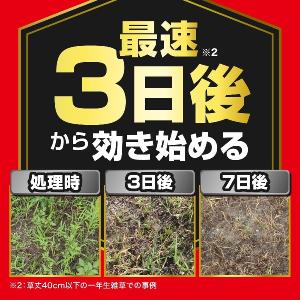 草退治ストロング 粒剤 5kg KINCHO園芸の詳細画像2