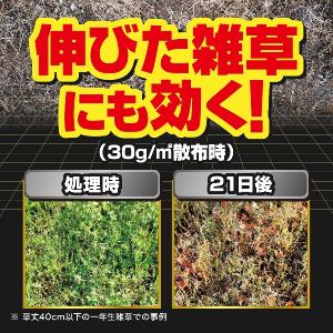 草退治ストロング 粒剤 5kg KINCHO園芸の詳細画像3