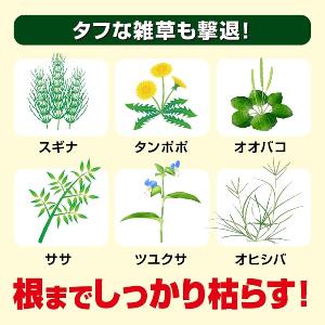 草退治ストロング 粒剤 5kg KINCHO園芸の詳細画像4