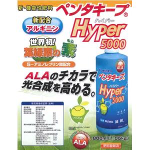 ペンタキープ ハイパー Hyper 5000 ...の詳細画像1