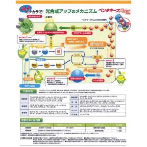 ペンタキープ ハイパー Hyper 5000 ...の詳細画像2