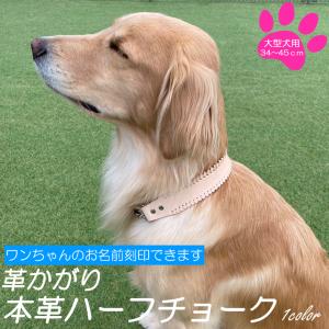 犬 首輪 大型犬 ハーフチョーク 名入れ レザー 本革 革かがり ベージュ 犬の首輪 いぬ くびわ 名前刻印 しつけ トレーニング 訓練 おしゃれ かわいい 散歩 Large Kagari Beige 犬とめだか屋 Pegs ペグス 通販 Yahoo ショッピング