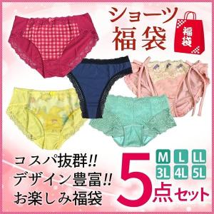 福袋 2018 レディース 福袋 レディース 送料無料 メール便 代引き不可 福袋 ショーツ 5枚セット パンツ 下着 女性用 婦人用 tバック