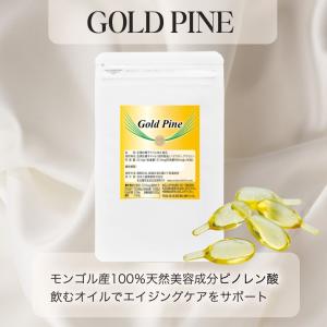 バリアフーズ 五葉の松SPN ブラック 90粒 松種子エキス 松の実オイル