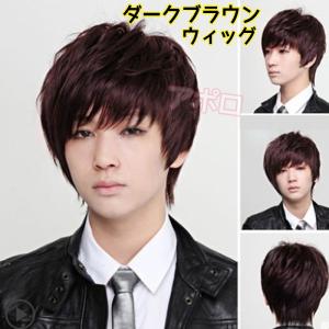 ウィッグ　ライトブラウン(ショートタイプ) ウィッグライトブラウン(ショートタイプ)