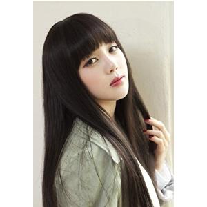 前髪 ぱっつん ウィッグ 黒髪 黒 ロング ストレート ロングストレート