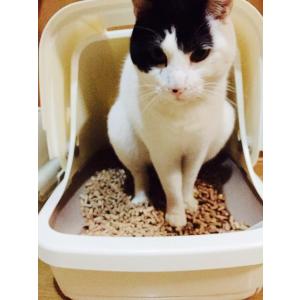 猫砂用ペレット 猫ちゃんも快適です！ 10kg×2袋（約33L）入り一箱 （黒ペレット）（木ペレット）