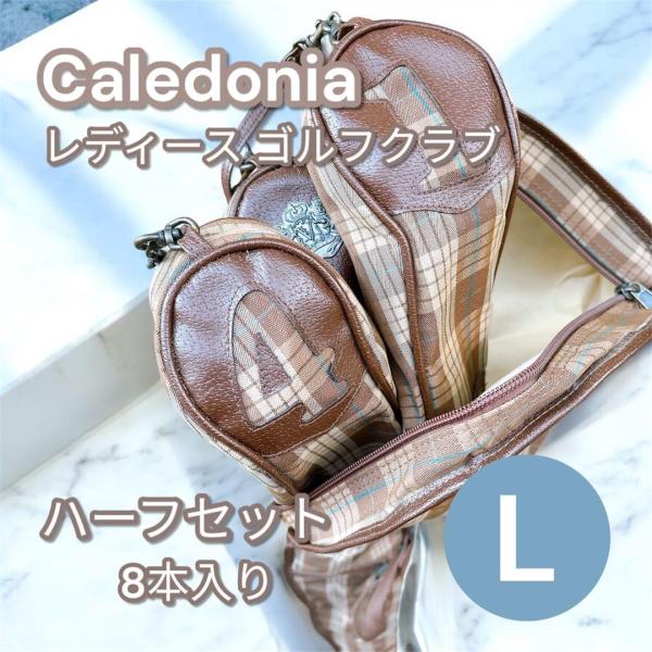 【入門〜初心者向け】レディース ゴルフクラブ ハーフセット8本 flex L