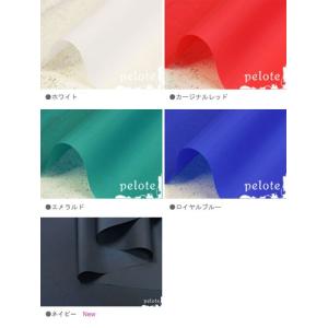ナイロン 生地 ナイロンタフタ撥水コーティング...の詳細画像3