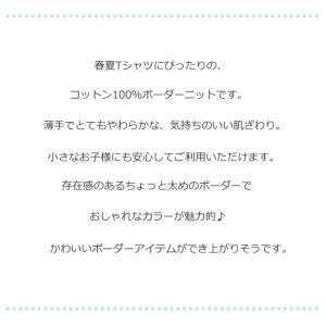 ニット 生地 子供服や犬服づくりに 40/2 ...の詳細画像2