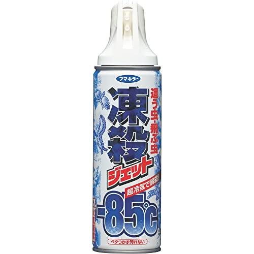 フマキラー 凍殺ジェット 這う虫・飛ぶ虫用 300ml