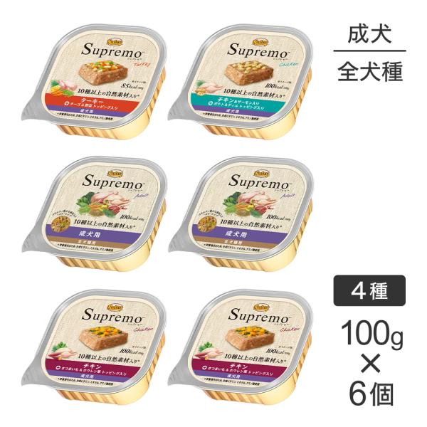 【メール便】【100g×6個】ニュートロ シュプレモ 全犬種用 成犬用 お試し ウェット トレイ 4...