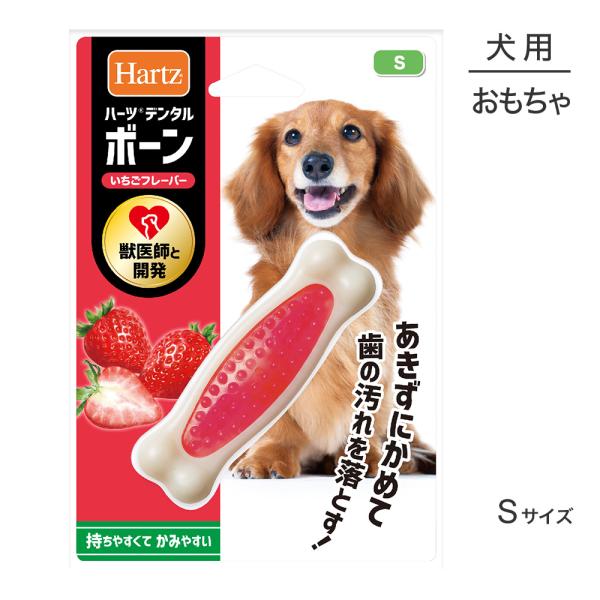 【メール便】ハーツ Hartz デンタルトイズ ボーン いちごフレーバー S (犬・ドッグ)