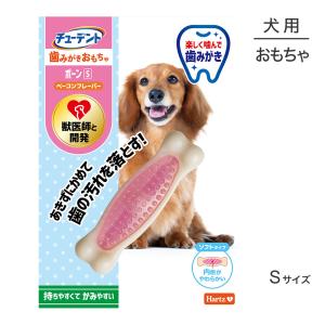 Hartz（ハーツ） 【メール便】ハーツ チューデント 歯みがきおもちゃ