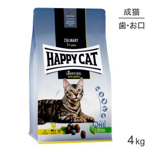 ペットライン　ドクターズケア　猫用　ストマックケア　6kg分　新品未開封 ペットライン ドクターズケア 猫 ストルバイトケア フィッシュ