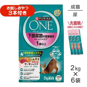 ピュリナワン 【2kg×6袋】ネスレ ピュリナ ワン キャット 下部尿路の