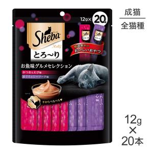 シーバ とろ〜りメルティ 【メール便】シーバ とろ〜り メルティ
