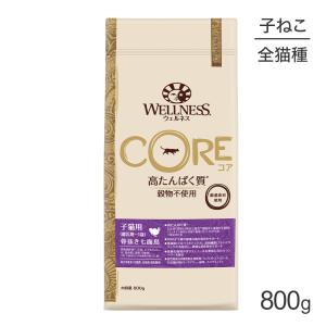 ウェルネス コア 子猫用 離乳期〜1歳まで 骨抜き七面鳥 800g(猫・キャット)[正規品]｜pemos