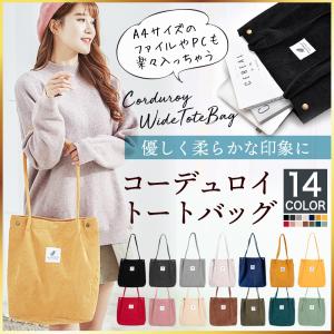 penguin-fly_220130-ctote