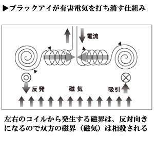 【クーポンで最大￥500OFF★25日まで】丸...の詳細画像5
